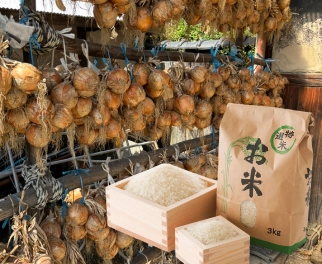 玉葱と米のセット